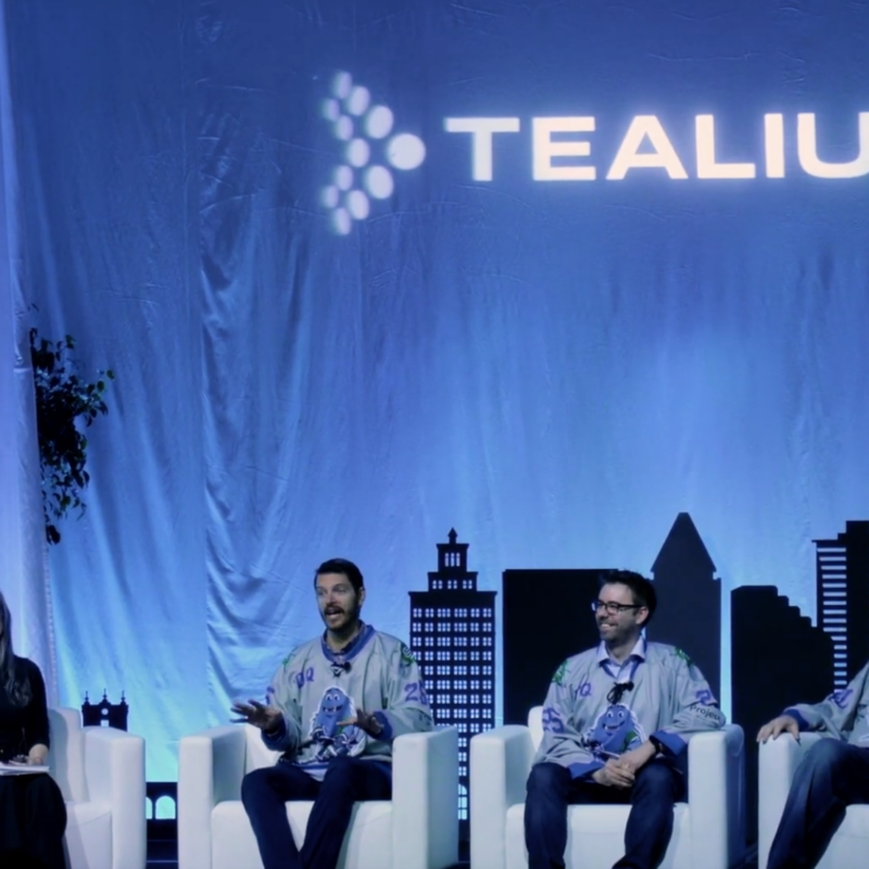 Sentinel Insights at Digital Velocity 2025 talking about CDP as a Team Sport