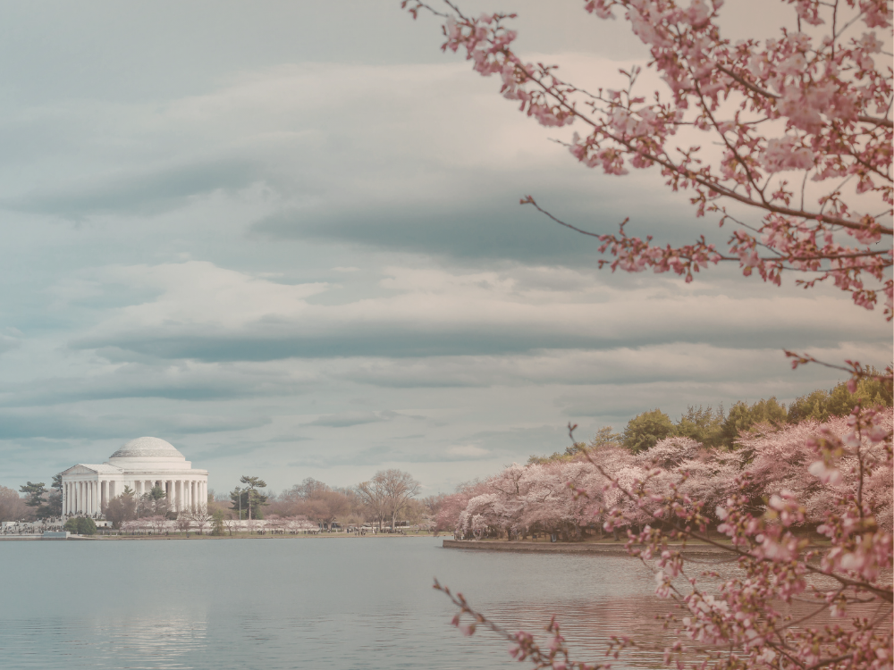 Recap of 2026 IAB Public Policy & Legal Summit